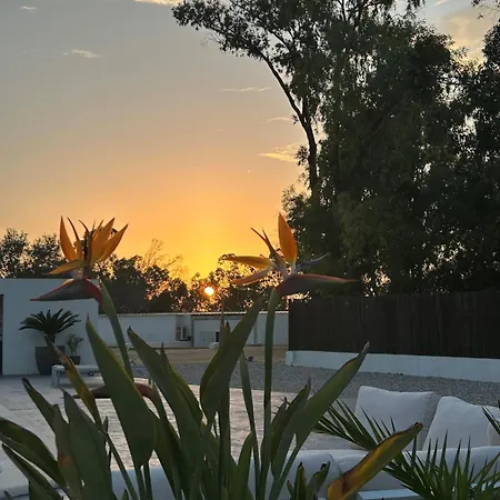 Punta Serra Ferienhaus Santa Pola